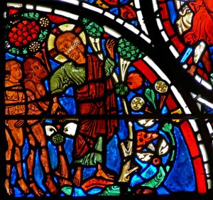 Fenster w13 Gott warnt Adam und Eva vor dem Baum der Erkenntnis