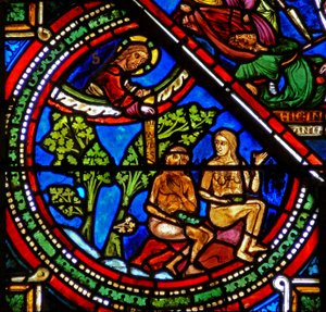 Fenster w15 zeigt das Fenster des barmherzigen Samariters: Adam und Eva bedecken ihre Nacktheit von French School