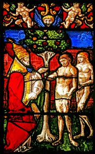Fenster w2 mit Adam, der angewiesen wird, nicht vom Baum der Erkenntnis zu essen