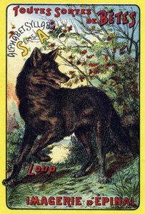 Wolf. Umschlag von "Syllabar alphabet all kinds of beets"