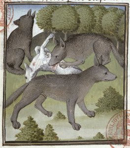 Wölfe, aus dem Livre de la Chasse von Gaston Phebus von French School