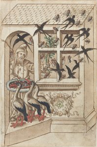 "Haben Sie keine Schwalben unter demselben Dach" [fol. 40 recto]