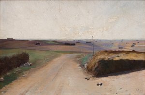 Eine Landschaft. Die Insel Mors, Jütland von Fridolin Johansen