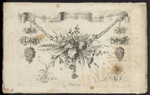 Unterschiedliche neue Festons von Blumen und Früchten von Friedrich Jacob Morisson