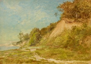 Dünenstrand an der Ostsee von Friedrich Loos