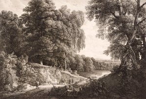 Waldlandschaft