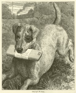 Hund (Stich)