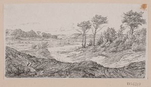 Landschaft
