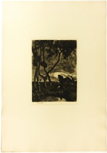 Auf dem Moor