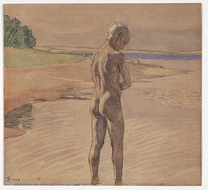 Hans stehend im Wasser. Motiv von Fyns Hoved