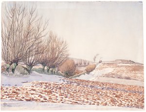 Landschaft mit Weiden und Acker im Schnee