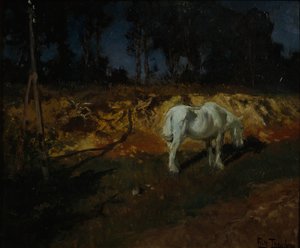 Das Pferd des Doktors