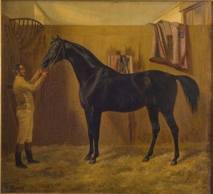 Schwarzer Komet