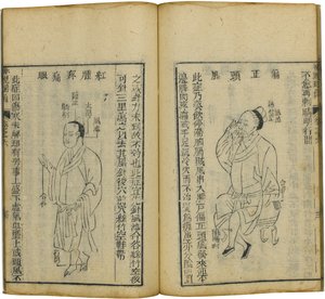 Shen Shi Yao Han Ein kostbares Buch der Augenheilkunde, 1644