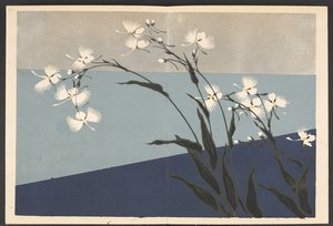 Shasei sôka môyô, Muster von Pflanzen und Blumen aus dem Leben
