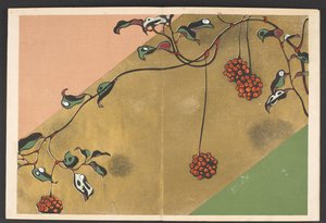 Shasei sôka môyô, Muster von Pflanzen und Blumen aus dem Leben von Furuya Korin