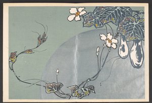 Shasei sôka môyô, Muster von Pflanzen und Blumen aus dem Leben von Furuya Korin