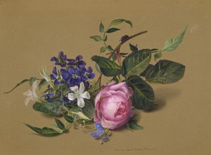 Käfer am Rosenast