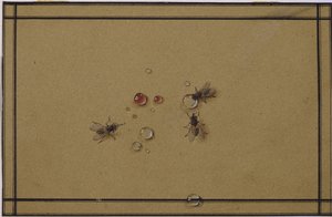 Die Fliegen an den Wassertropfen von Fyodor Petrovich Tolstoy