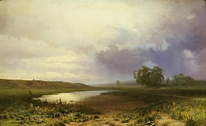 Nasse Wiese