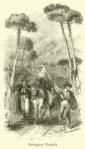 Portugiesische Bauern von G. F. Sargent