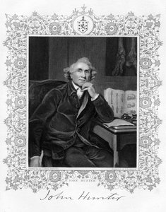 John Hunter 1728-1793, schottischer Chirurg, 19. Jahrhundert