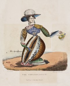 Der Conchologe, ca. 1831