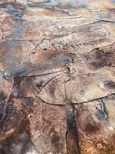 Abstrakte rissige Patina von Gabriela Aleksandra Szuba