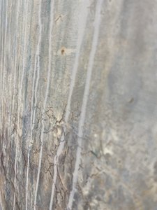 Rissige Gealterte Wand