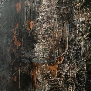 Rissige Organische Textur von Gabriela Aleksandra Szuba