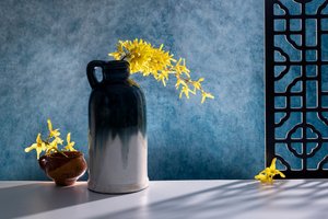 Elegante Forsythien Stillleben von GaoSL