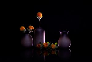 Orange Blumen Stillleben von GaoSL