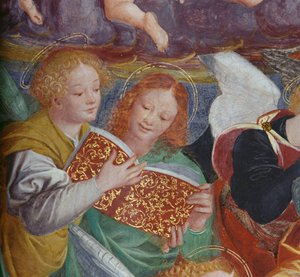 Das Konzert der Engel, 1534-36 (Detail) von Gaudenzio Ferrari