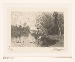 Enten entlang und auf dem Ufer eines Teiches von Geo Poggenbeek (signed by artist)