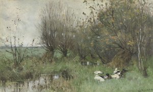 Enten bei einem Weidenwäldchen