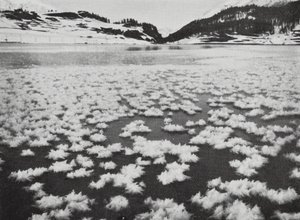 Schweiz von Geoffrey Roland Balance