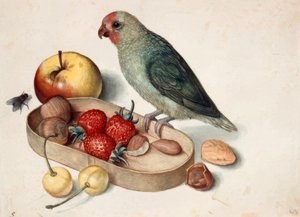 Stilleben mit Zwergpapagei von Georg Flegel
