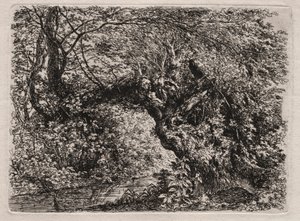 Die alte Weide an einem Bach, 1794 von Georg von Dillis