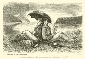 Annehmlichkeiten der Flitterwochen (Gravur) von George (after) Du Maurier