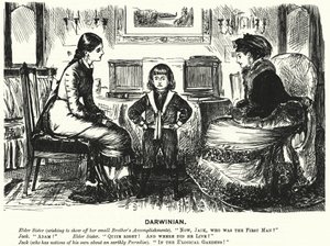 Punch-Karikatur (Gravur)