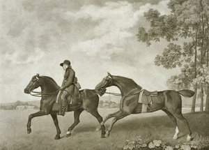 Zwei Hacks, graviert von George Townley Stubbs