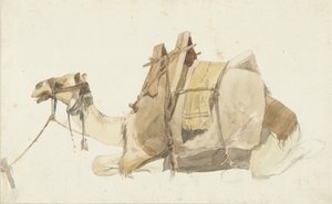 Sitzendes beladenes Kamel