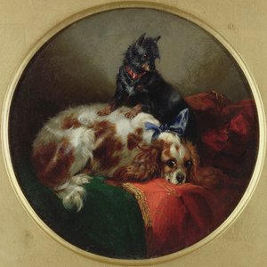 Blenheim Spaniel und Terrier, Gemälde nach J.F. Herring (1795-1865) von George Armfield