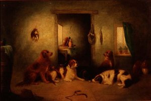 Die Küchendogs