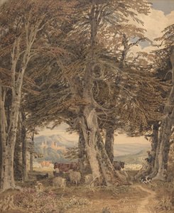 Rinder und Schafe ruhen am Waldrand, ca. 1840