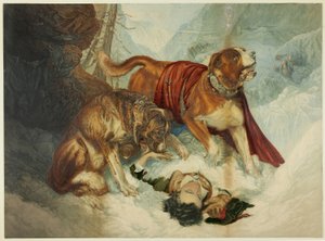 Die Hunde von St. Bernhard