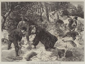 Ein Tag beim Frettchenjagen in den Weihnachtsferien