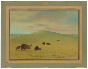Amerikanische Weide - Prärien des Platte von George Catlin