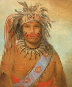 Au-nim-muck-kwa-um, Sturmvogel, 1845