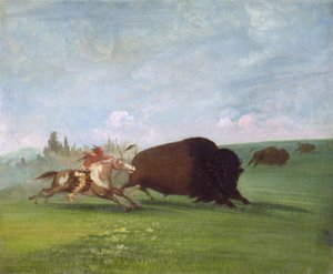 Büffeljagd, ein einzelner Tod, 1832-1833